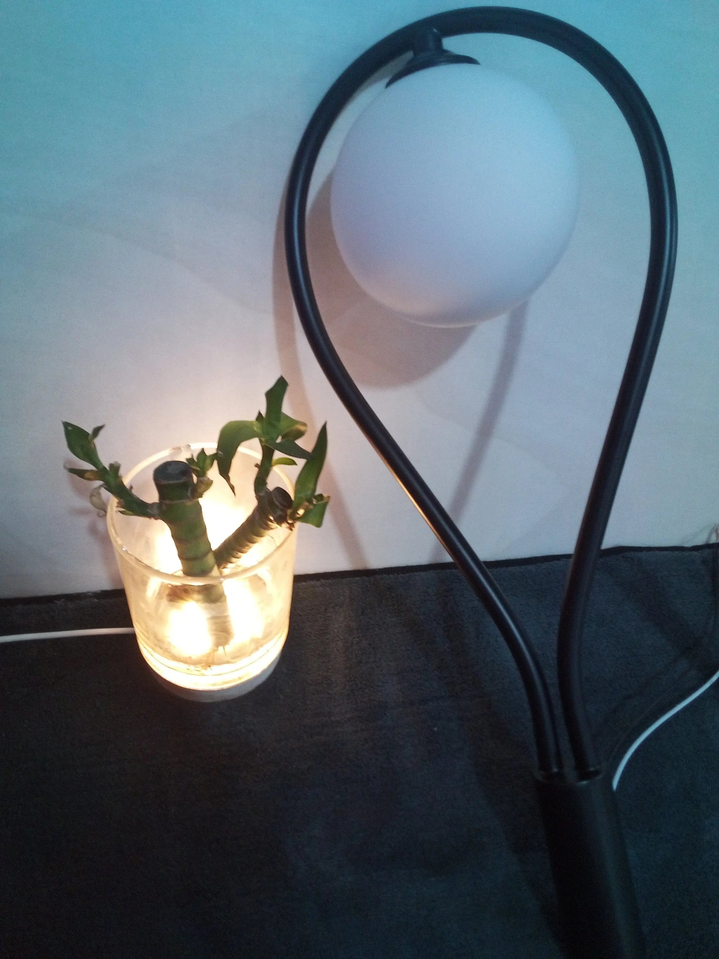 Golden Glass Nordic Bedside Wall Lamp Luminex Lights