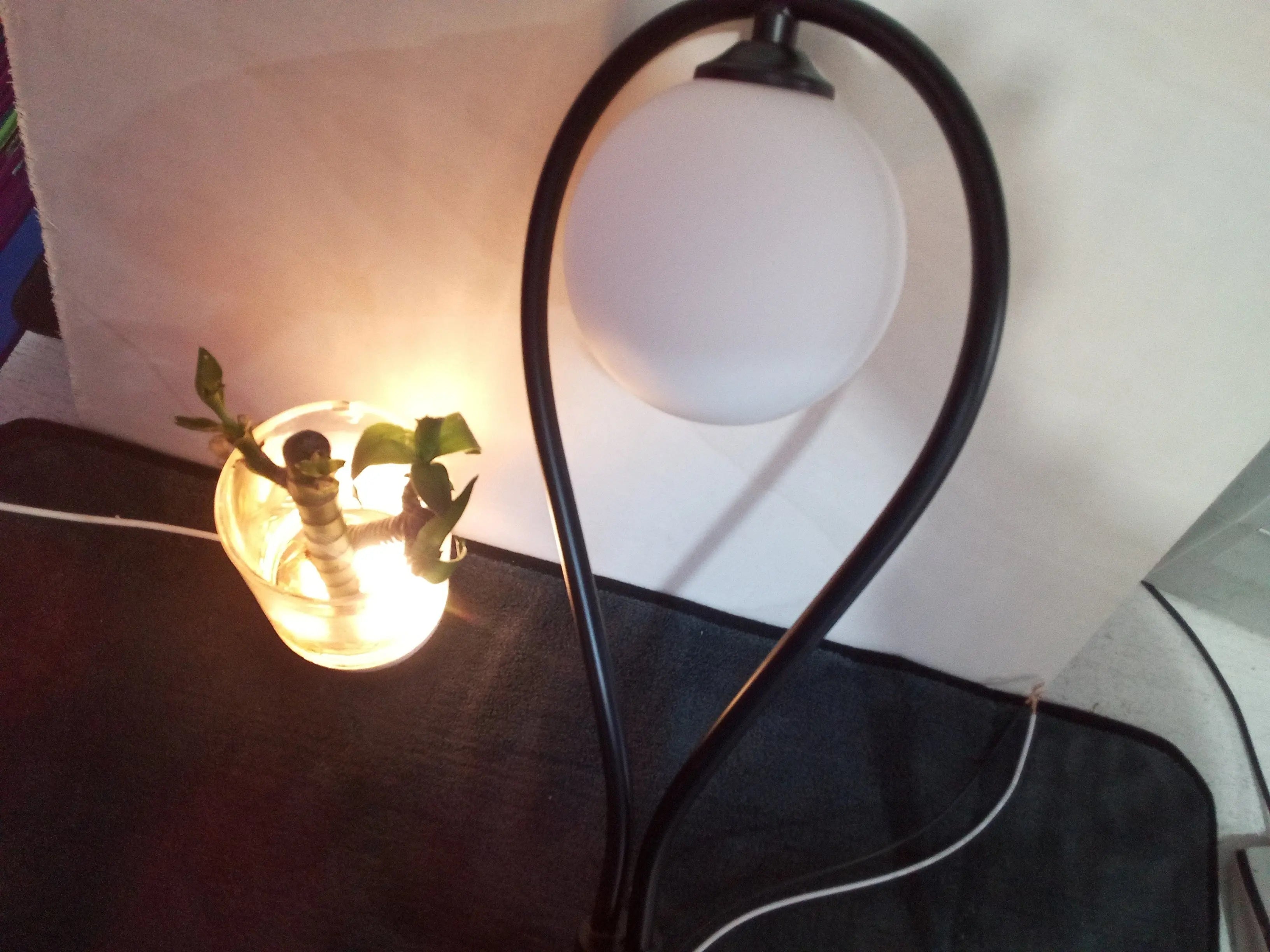 Golden Glass Nordic Bedside Wall Lamp Luminex Lights